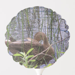 Closeup photo of a duck balloon