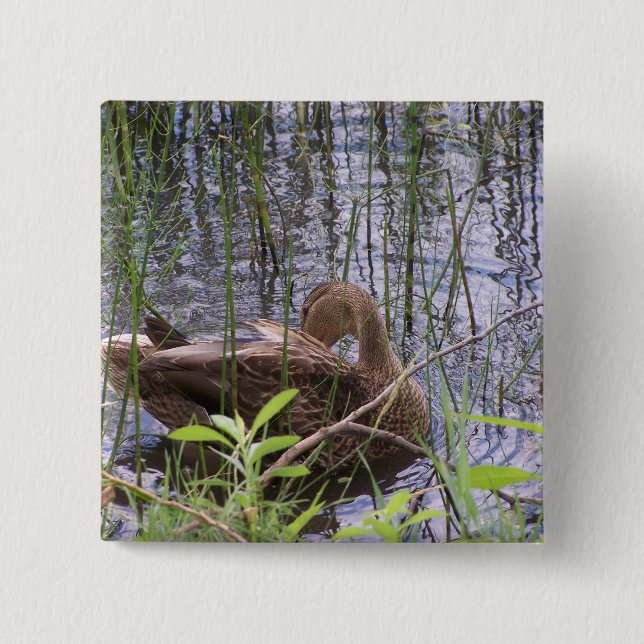 Closeup photo of a duck button (Front)