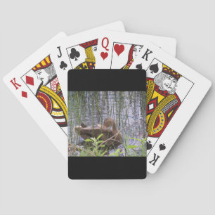 Closeup photo of a duck poker cards