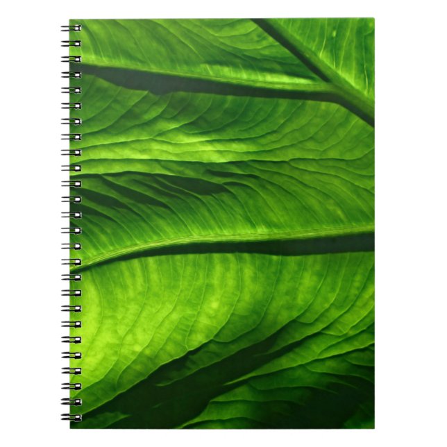 Closeup photo of green leaf notebook (Front)