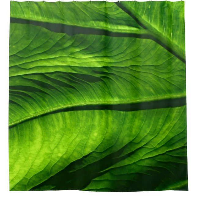 Closeup photo of green leaf shower curtain (Front)
