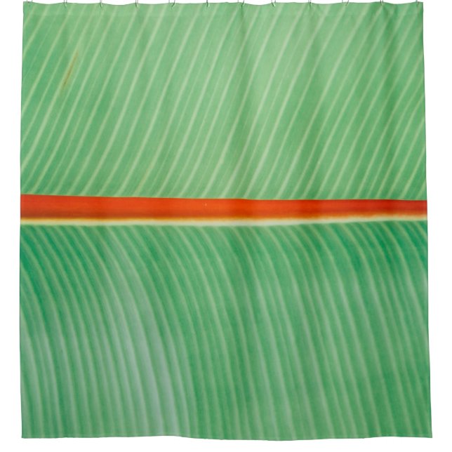 Closeup photo of green leaf shower curtain (Front)