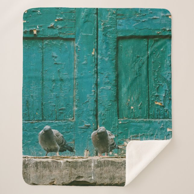 CLOSEUP PHOTO OF TWO GRAY PIGEONS ON GRAY CONCRETE SHERPA BLANKET (Front)