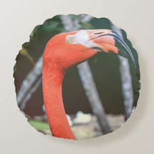 Closeup photography of red long-neck bird round pillow
