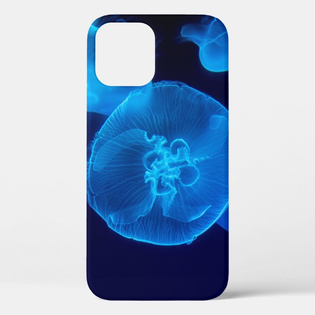 CLOSEUP PHOTOGRAPHY OF SWARM OF JELLYFISH Case-Mate iPhone CASE (Back)