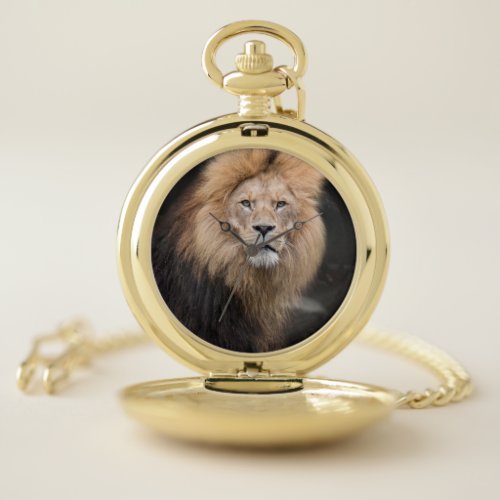 Closeup Portrait of a Male Lion Pocket Watch