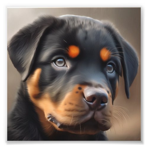 Closeup Rottweiler puppy Photo Print
