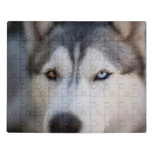 Closeup Stoic Gaze of an Alaskan Malamute Jigsaw Puzzle