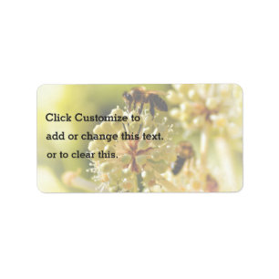 Closeup Themed, A Bee Lands On A Flower In A Close Label