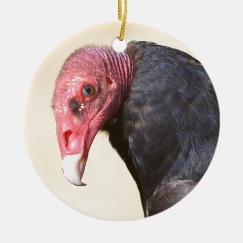 Closeup turkey vulture ceramic ornament