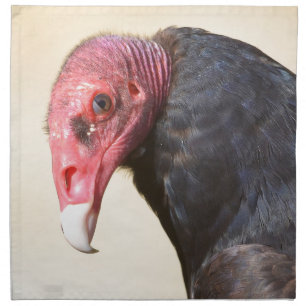Closeup turkey vulture napkin