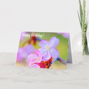 Closeup View Of Pink Sakura Cherry Blossoms Card