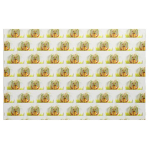 closeup yellow-white orchids fabric