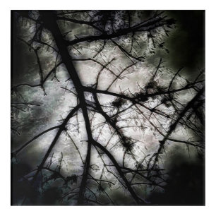 Closing In Acrylic Print