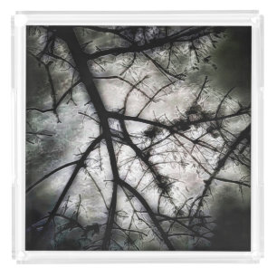 Closing In Acrylic Tray