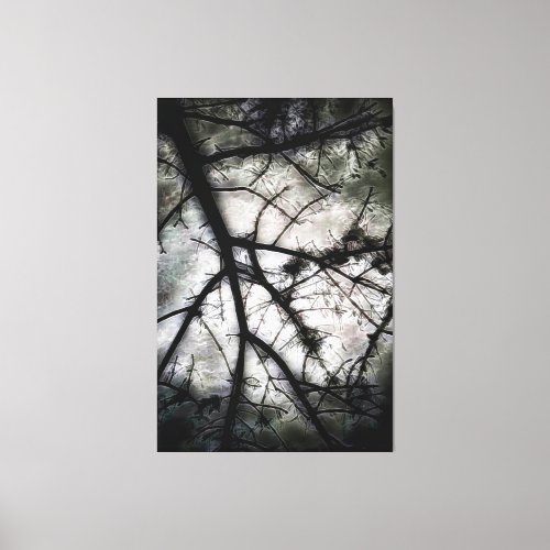 Closing In Canvas Print