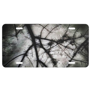 Closing In License Plate