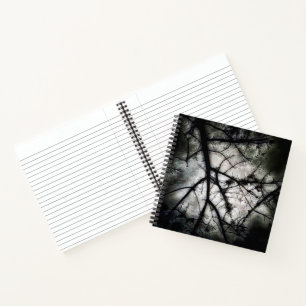 Closing In Notebook