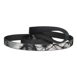 Closing In Pet Leash