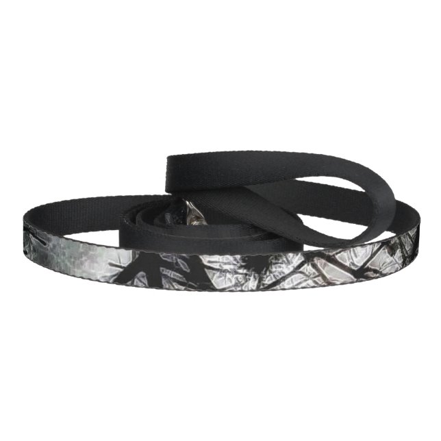 Closing In Pet Leash (Handle)