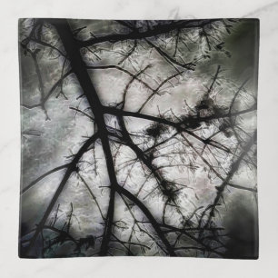 Closing In Trinket Tray