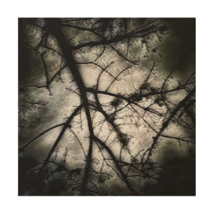 Closing In Wood Wall Art