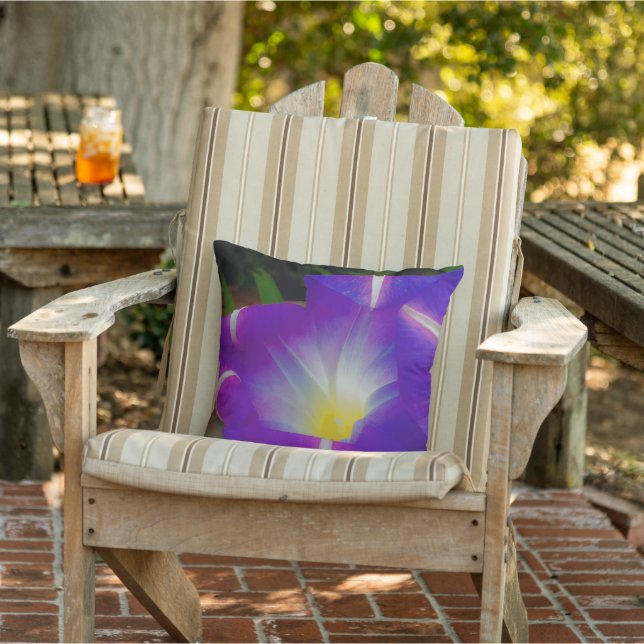 Closing Time for Morning Glories Outdoor Pillow (Chair)