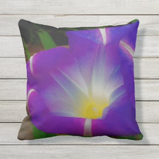 Closing Time for Morning Glories Outdoor Pillow