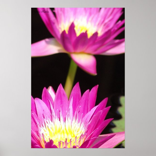 closure poster (Front)