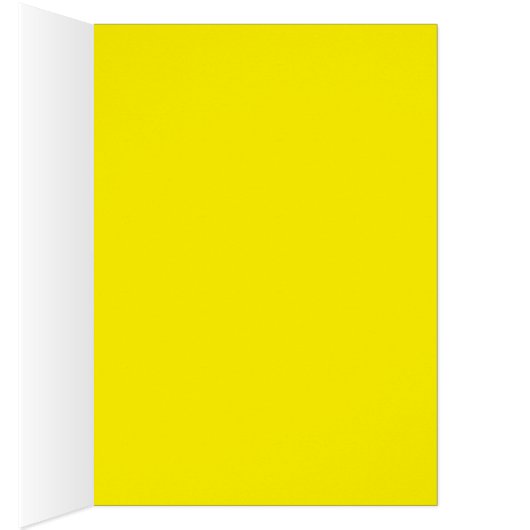 Cloth of Gold Crocus Illustration (Inside (Right))