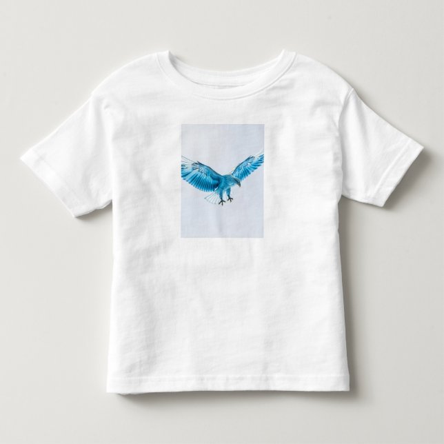 Clothes Toddler T-shirt (Front)