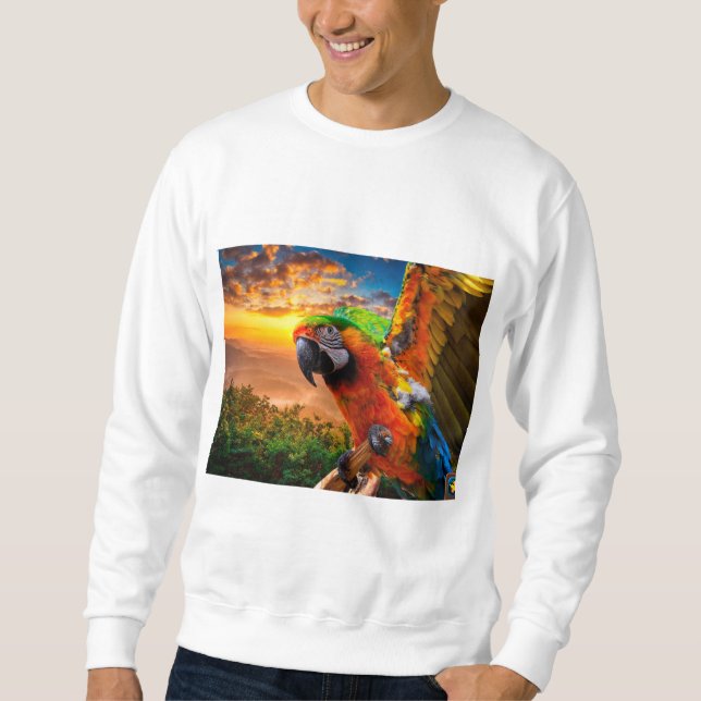 Clothing & Shoes > Men > Clothing > Hoodies & Swea (Front)
