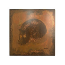 Clothing & Shoes > Men's Fashion > Clothing > Tops