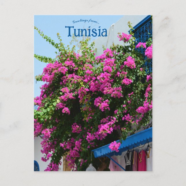 Clothing Store and Flowers in Tunis Tunisia Postcard (Front)