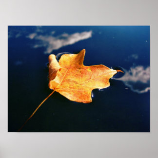 cloud dancer (auto sized) poster