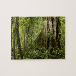 Cloud forest, Peace Rain Forest, Costa Rica Jigsaw Puzzle