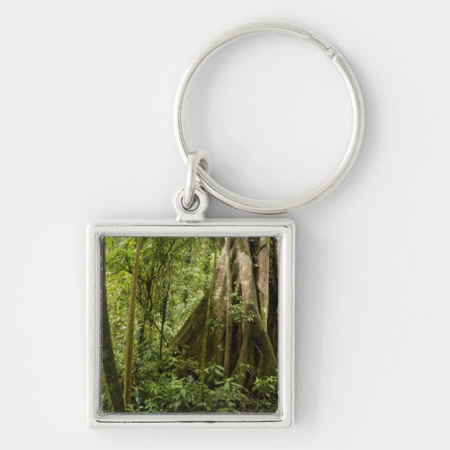 Cloud forest, Peace Rain Forest, Costa Rica Keychain (Front)