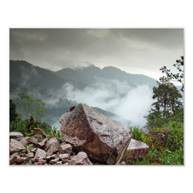 Cloud forest photo print (Front)