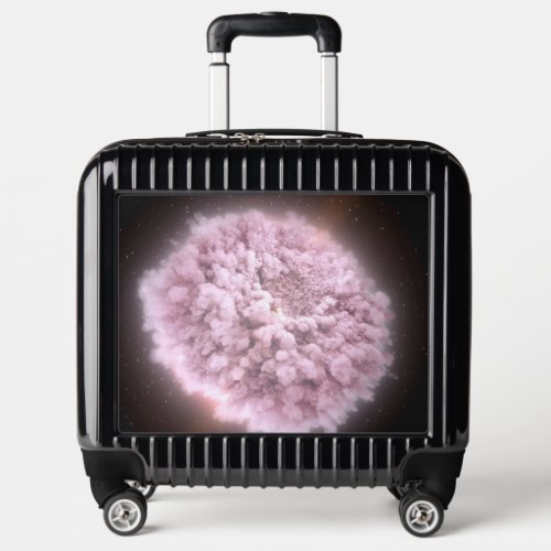 Cloud Of Debris From Two Neutron Stars Luggage