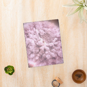 Cloud Of Debris From Two Neutron Stars Mini Binder