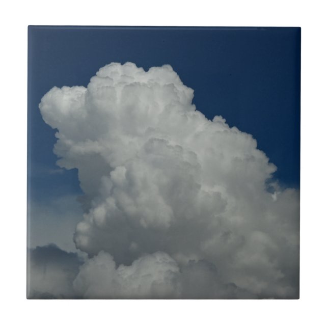 Cloud P5644 Tile (Front)