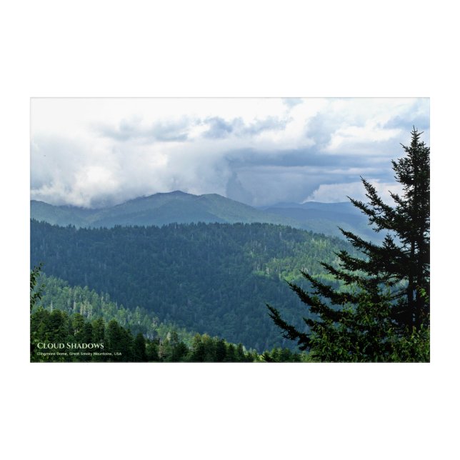 'Cloud Shadows' Kuwohi Clingmans Dome Smoky Mtns  Acrylic Print (Front)