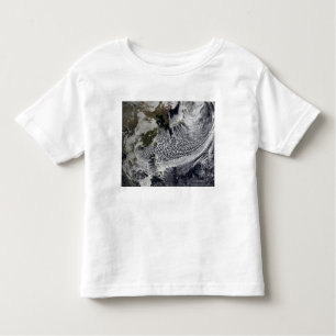 Cloud simulation of a single day 4 toddler t-shirt