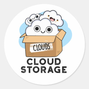 Cloud Storage Funny Weather Technology Pun  Classic Round Sticker