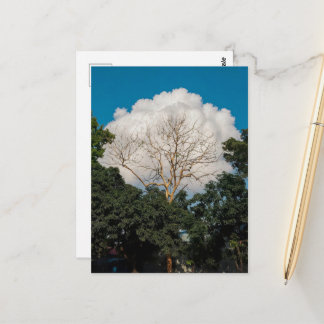 Cloud Tree Flat Card
