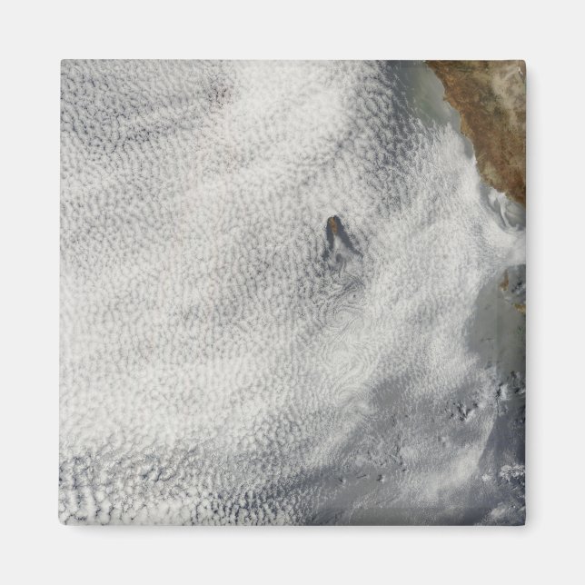 Cloud vortices and glory off Guadalupe Island Magnet (Front)