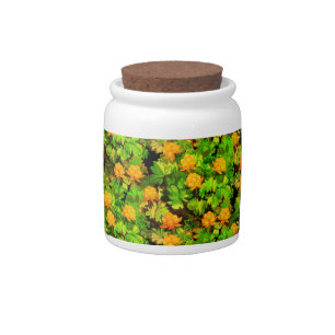 Cloudberries Candy Jar