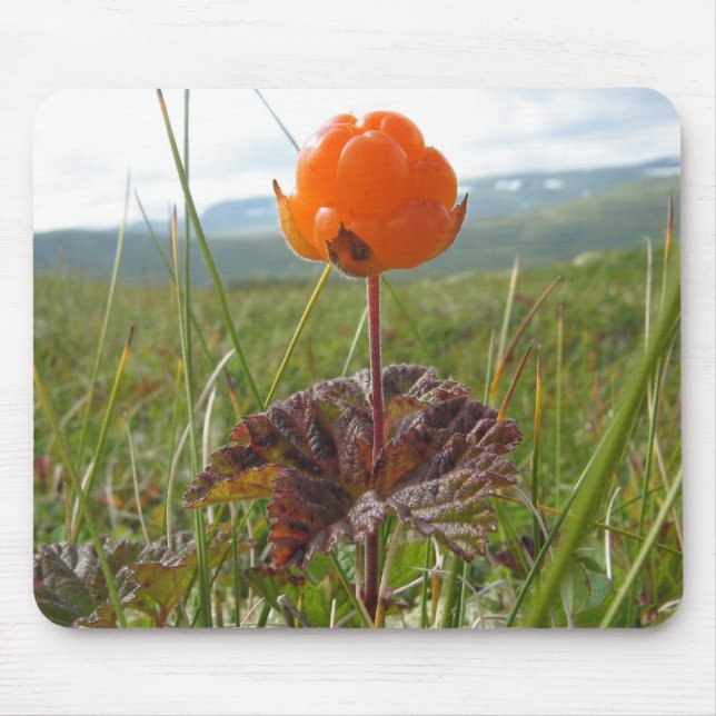Cloudberry Mousepad (Front)