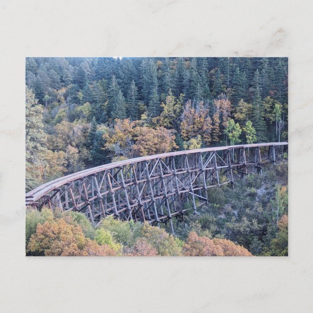 Cloudcroft New Mexico forest trestle bridge  Postcard (Front)