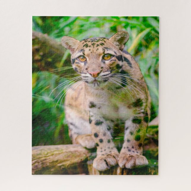 Clouded Leopard Big Cat's Jigsaw Puzzle (Vertical)